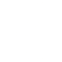 Pesti Vigadó